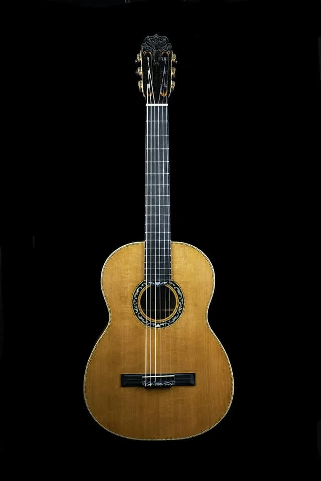 Palisander-Gitarre von Ringsenberg Instruments, vollständige Vorderansicht